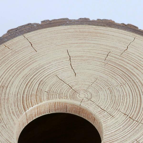 Image du produit Terra della Tronc pour reptile S, 15.5x15x8cm
