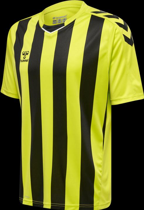 Actual product image hummel Core Xk Striped Jersey S/S (XXL)