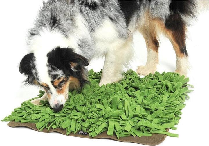 Produktbild Knauder's Best Schnüffelrasen (Beschäftigungsspielzeug Hund)