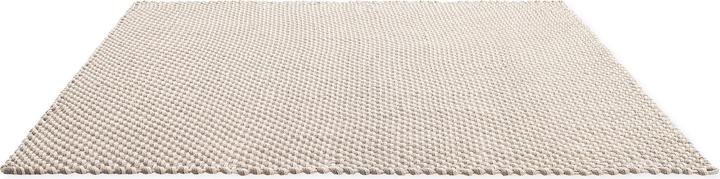 Sage Grey-Sable blanc
