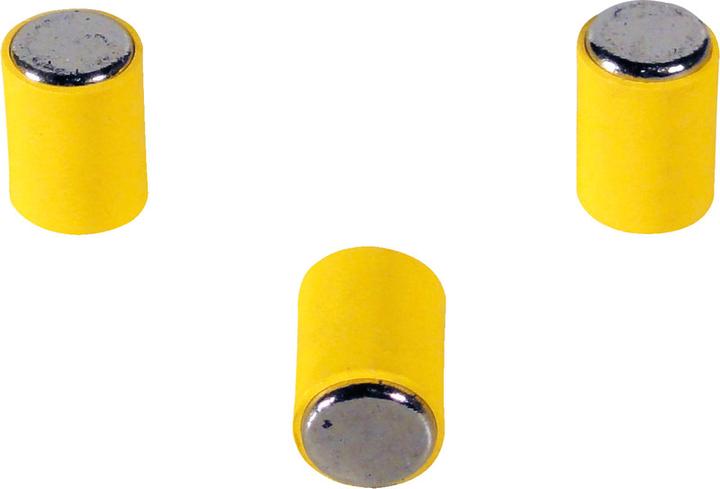 Image du produit BoOffice Aimants MagPin (12 x)
