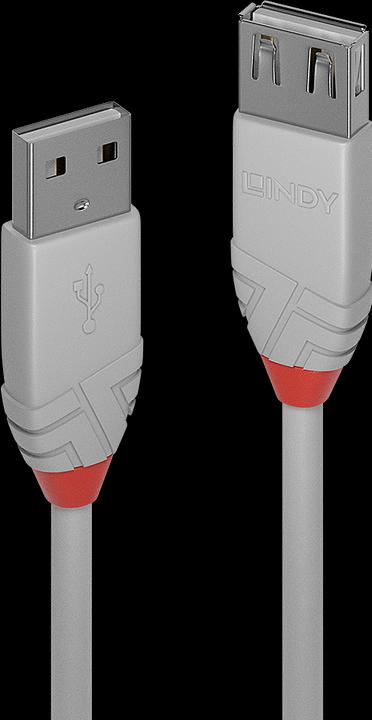 Actual product image Lindy USB A –  USB A (1 m, USB 2.0)