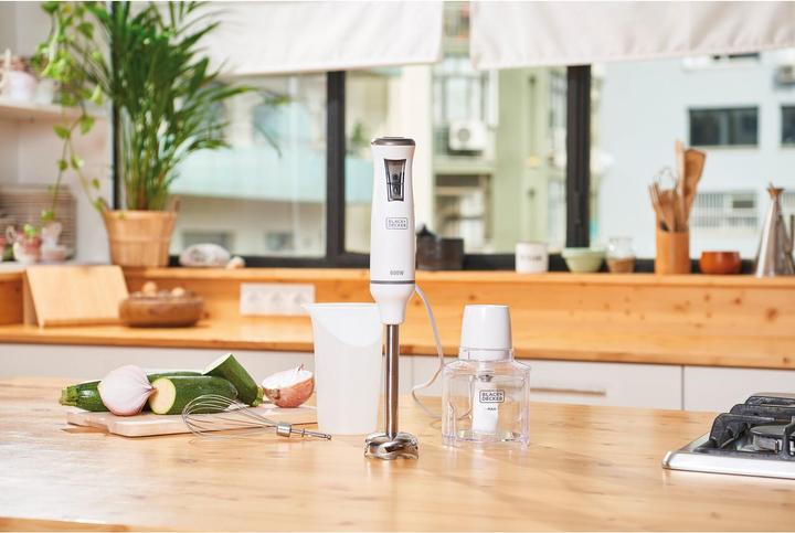 Image du produit Black & Decker BXHBA600E