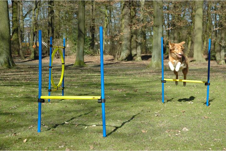 Produktbild Dobar Agility-Sprungset (Agility)