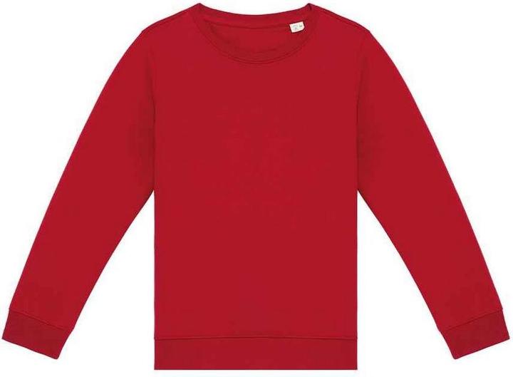 Rosso ibisco