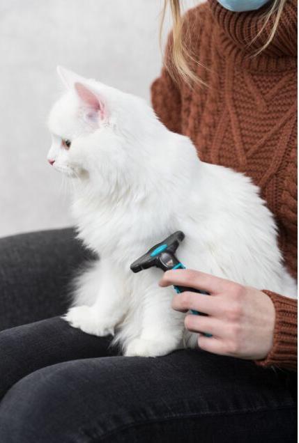 Immagine prodotto Trixie Erpice cardatore (Cane)