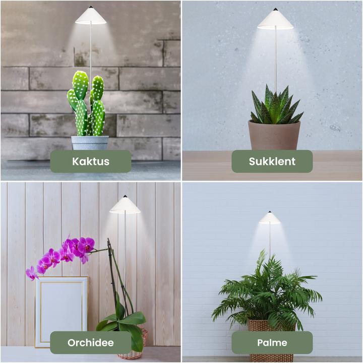 Actual product image Colibri SUNLiTE white (LED, 230 V)