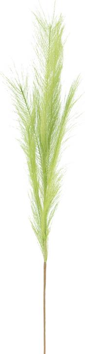 Actual product image Hoff Interieur Hoff-Interieur decorative feather lime green 80cm