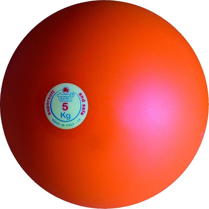 Produktbild Trial Stosskugel (5000 g)
