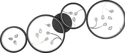 Trio GROOVY LED SOFFITTO 4 OPACO B/G 642110432