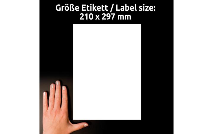 Immagine prodotto Avery Etichette Purpose Form Backglass, 210 x 297 mm, bianco Etichetta foil per stampanti laser