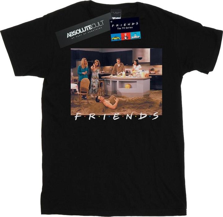 Actual product image Friends Mens Joey Mermaid T-Shirt (M)