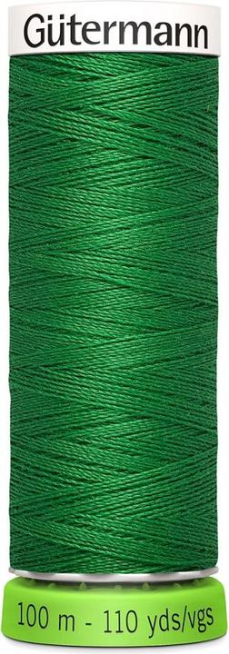 vert Col. 0396