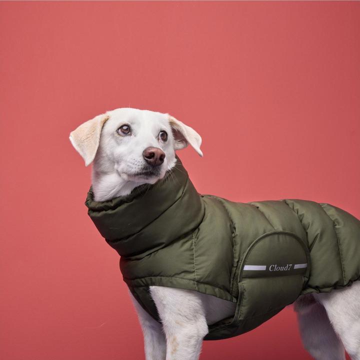 Produktbild Cloud 7 Alaska (6, Hundemantel)
