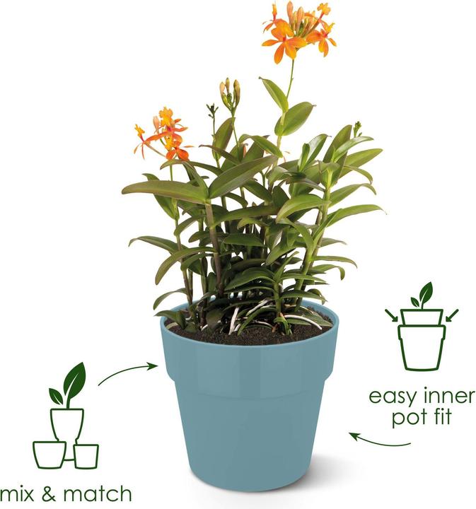 Actual product image Elho B.for Original Round (15.90 cm)