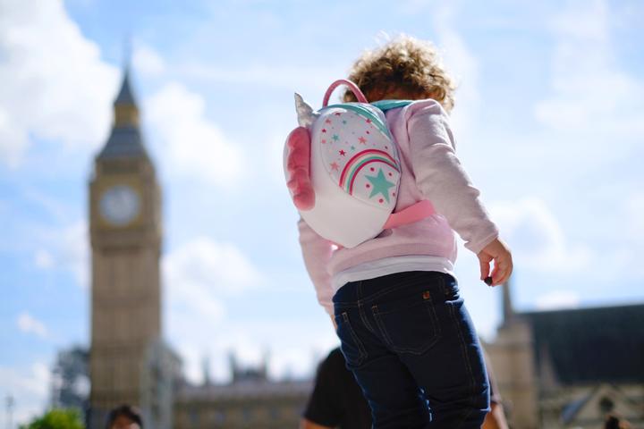 Actual product image Littlelife Toddler Backpack