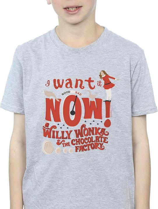 Produktbild Willy Wonka & the Chocolate Factory Verruca Salt I Want It Now TShirt Jungen (140, 146)