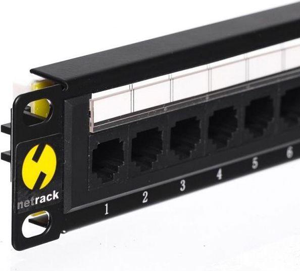 Netrack Patch Panel 10" 12-porty 104-16