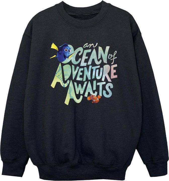 Actual product image Disney Boys Finding Dory Ocean Of Adventure Sweatshirt (140, 146)