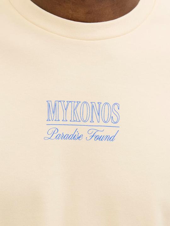Actual product image Jack & Jones Gedruckt Rundhalsausschnitt T-shirt T-shirt (XS)