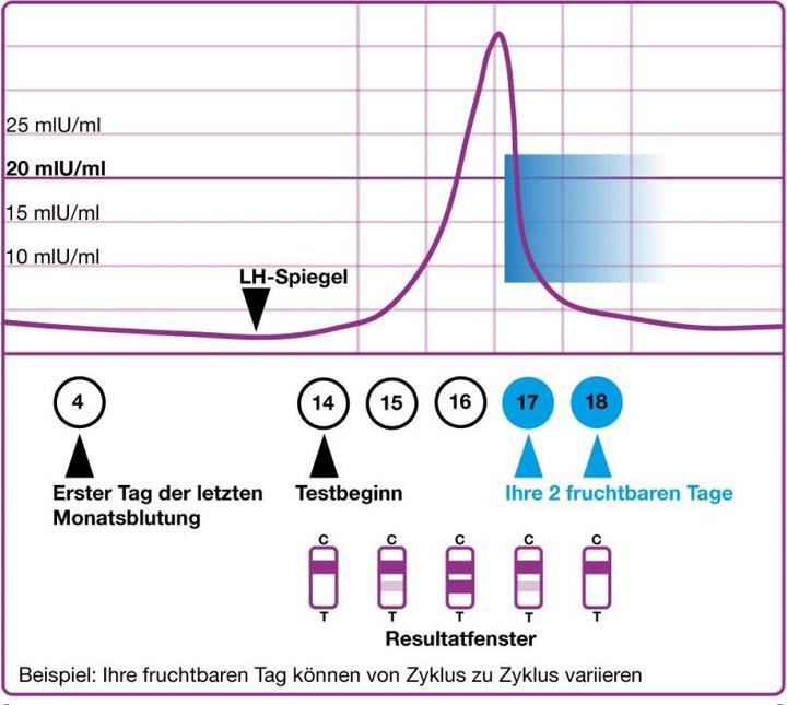 Produktbild Evial Schwangerschaftstest Strip (6 x)