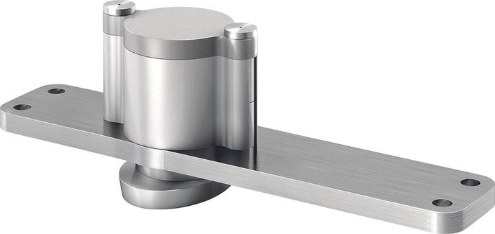 Actual product image FritsJurgens Pivot-Türbänder One, 70mm
