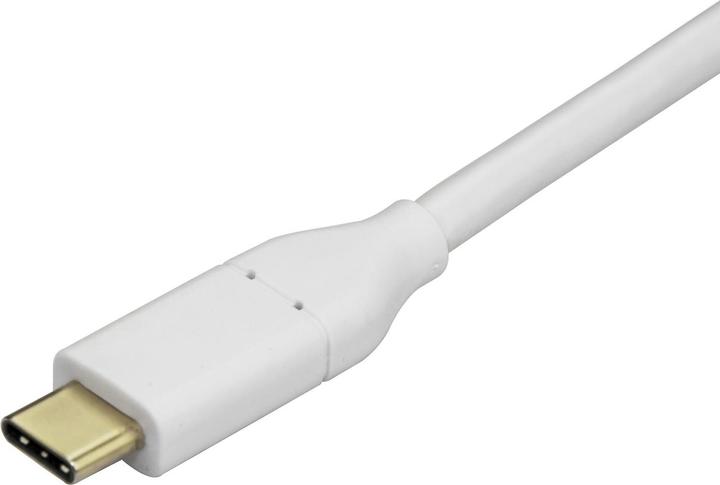 Immagine prodotto StarTech USB-C zu Mini DisplayPort (Mini DP, 6 cm)