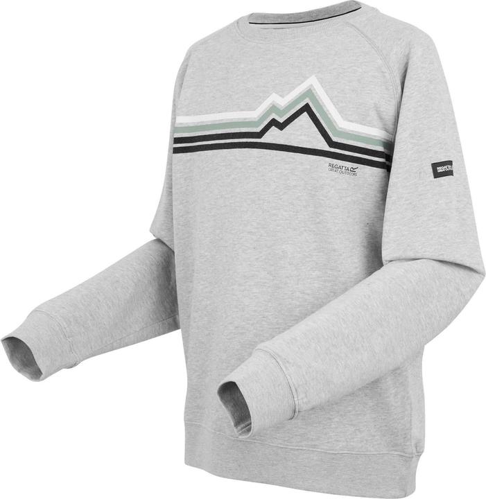 Actual product image Regatta Mens Nithsdale Linear Mountain Crew Neck Sweatshirt (XXL)
