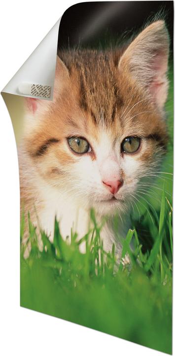 Produktbild Command Poster-Strips (0.40 kg)