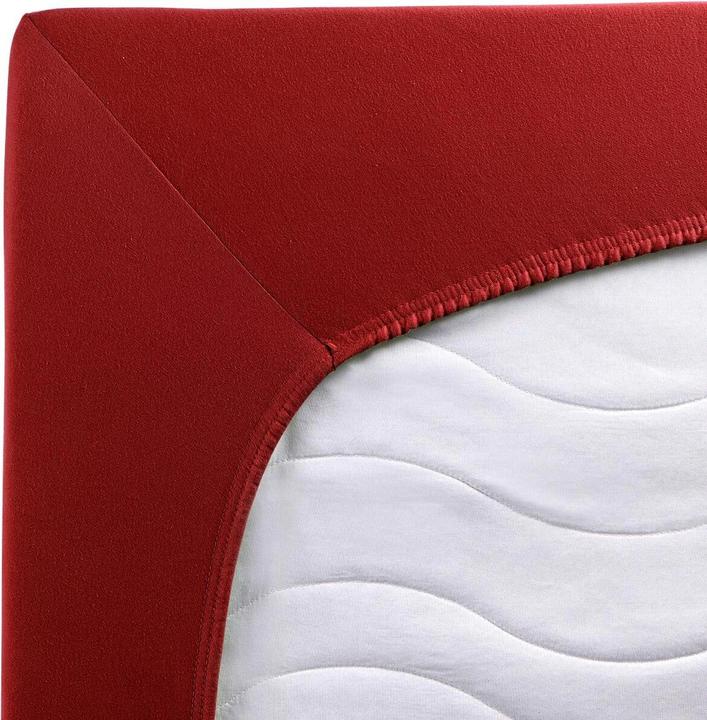 Actual product image Traumschlaf Premium Interlock (100x200 cm, 90x200 cm)