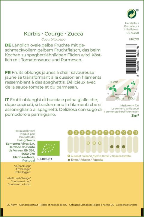 Actual product image Living Seeds Spaghetti squash (Vegetable seeds)