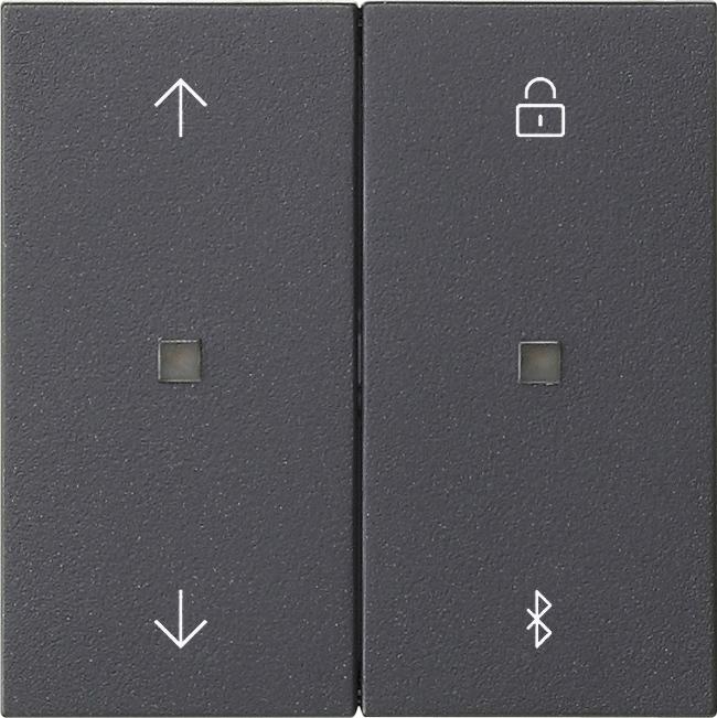 Gira S3000 Jal. + time switch BT System 55 anthracite