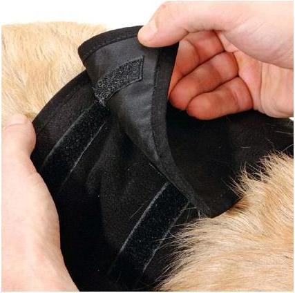 Actual product image Karlie Gentleman Wraps Plus (Dog)
