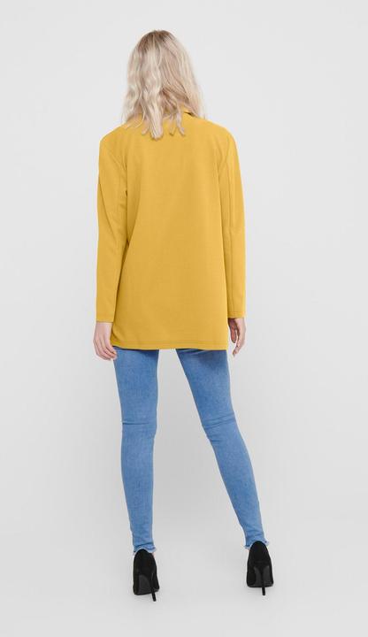 Image du produit JdY JDYGEGGO Blazer Blazer (L)