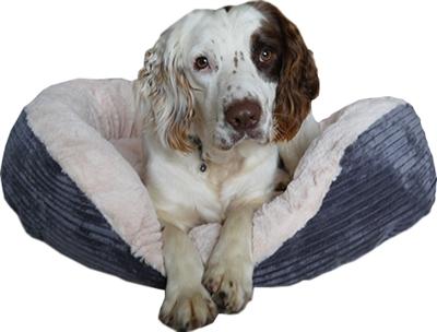 Produktbild Rosewood Hondenmand Ovaal Jumbo Cord Pluche Grijs / Creme (Hund)