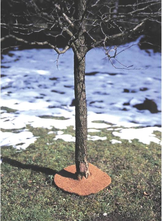 Immagine prodotto Windhager Tappetino di protezione invernale in feltro di cocco