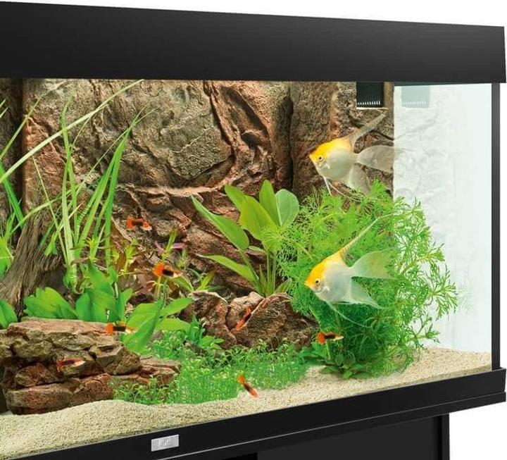 Immagine prodotto Juwel Aquarium Coprifiltro Cliff Dark 555x186/157mm (Pannello posteriore, altre voci)