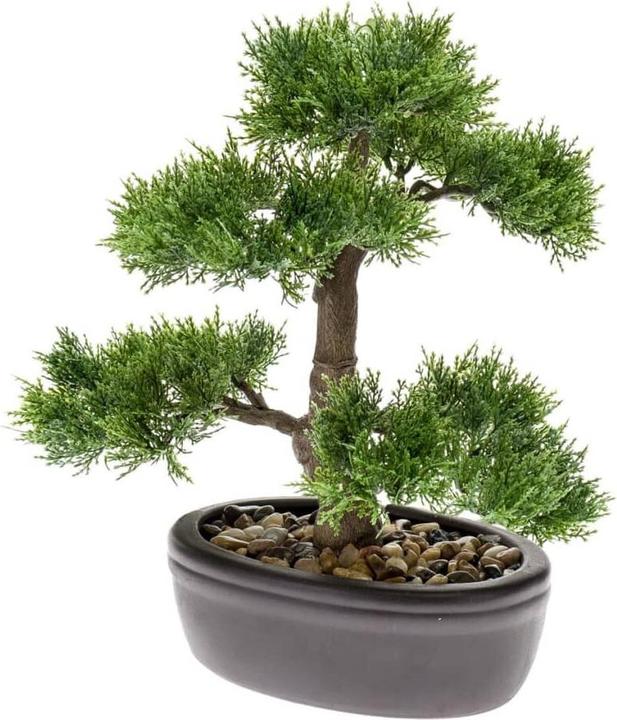 Produktbild Emerald Kunstpflanze (6.50 cm)