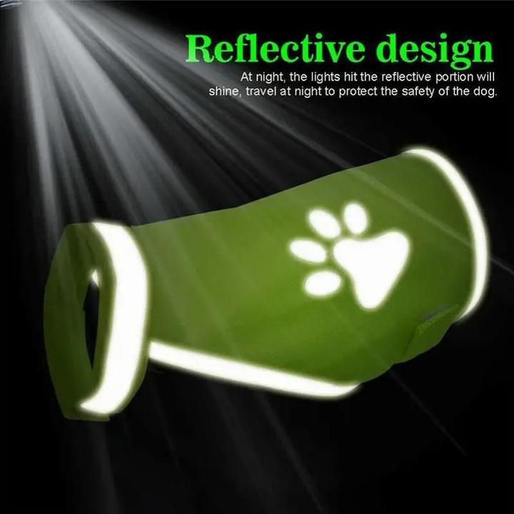 Immagine prodotto Cbx Gilet riflettente ad alta visibilità per cani, gilet di sicurezza per cani - taglia S (S, Gilet per cani)