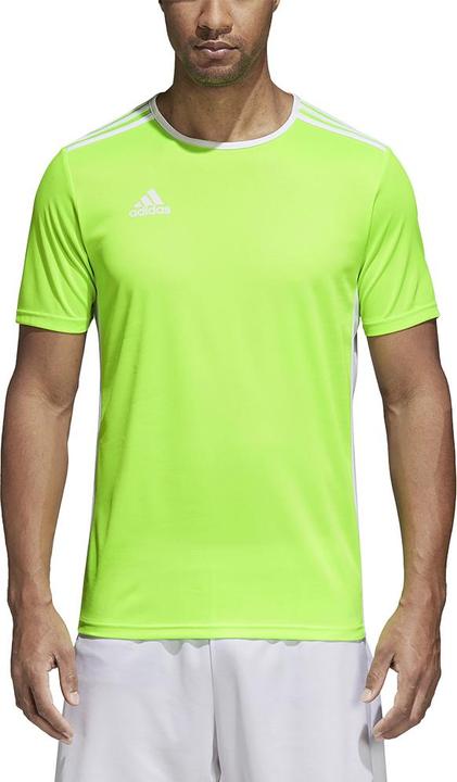 Image du produit adidas Maillot de football Entrada 18 enfants (128)
