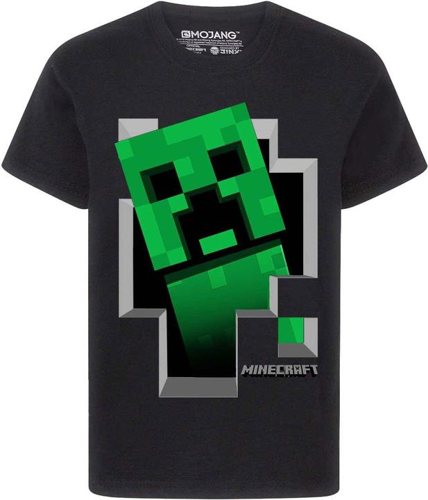 Actual product image Minecraft Inside Tshirt Boys (116)