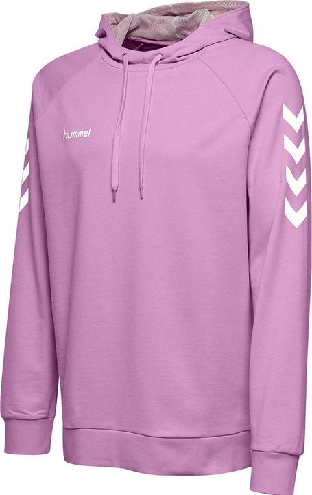 Image du produit hummel Go Kids Hoodie En Coton (152)