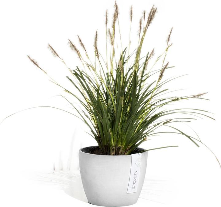 Actual product image Ecopots Stockholm (16 cm)