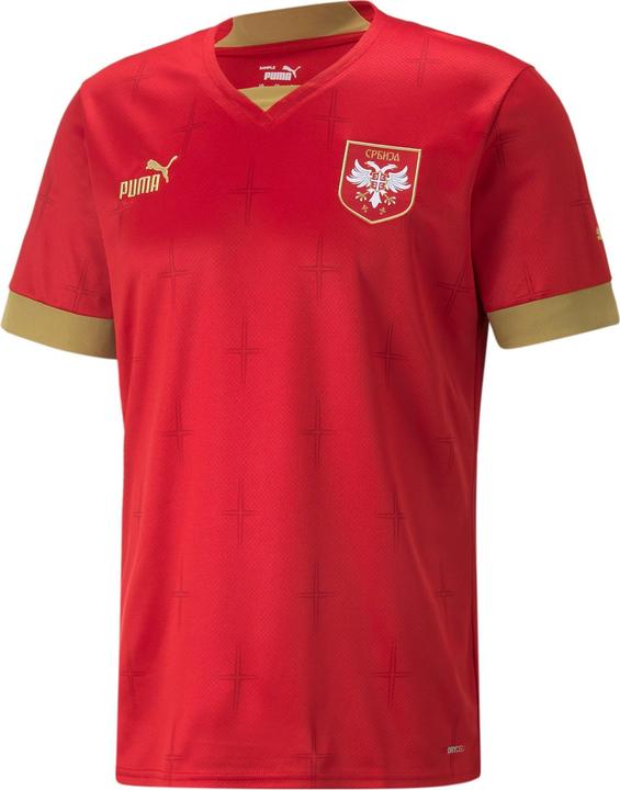 Puma FSS Home Jersey Replica