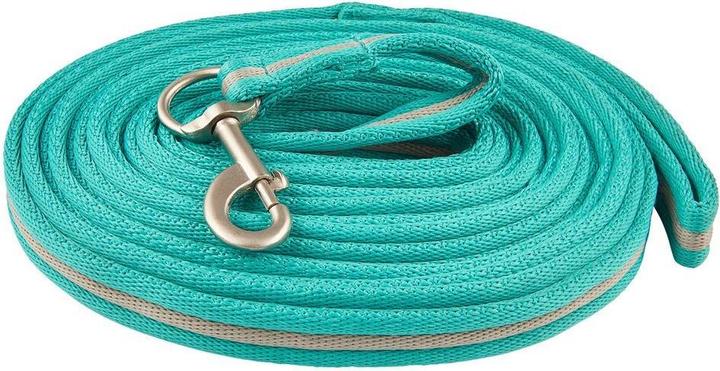 Image du produit Imperial Riding Longe pour longer cheval matelassée douce