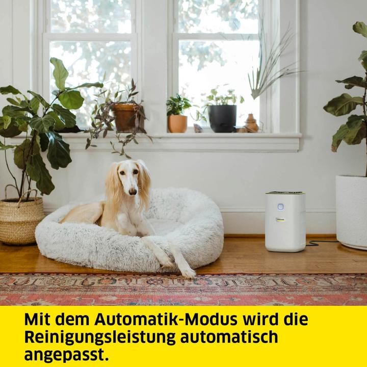 Produktbild Kärcher AF 20 (20 m²)