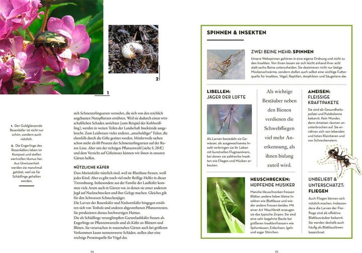 Produktbild Kosmos Tierisch guter Garten! (Deutsch, Mareike Fedders, 2022)
