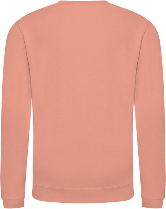 Image du produit Awdis Just Hoods Pull Sweatshirt Unicolore (104)