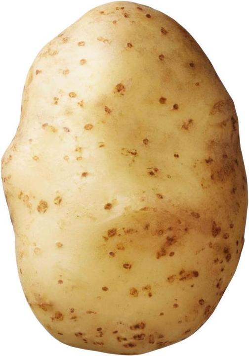 Actual product image Samen Mauser Bintje (Vegetable seeds)