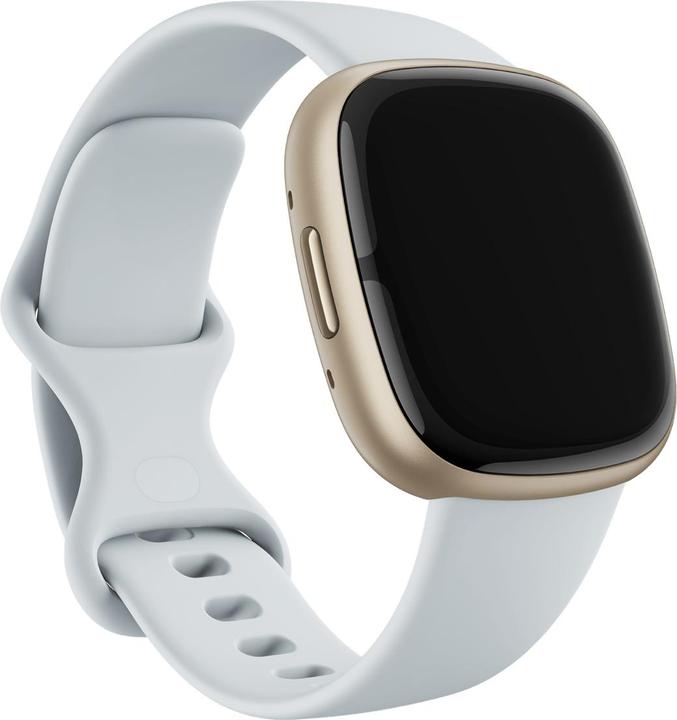 Actual product image Fitbit Infinity Band (Silicone)